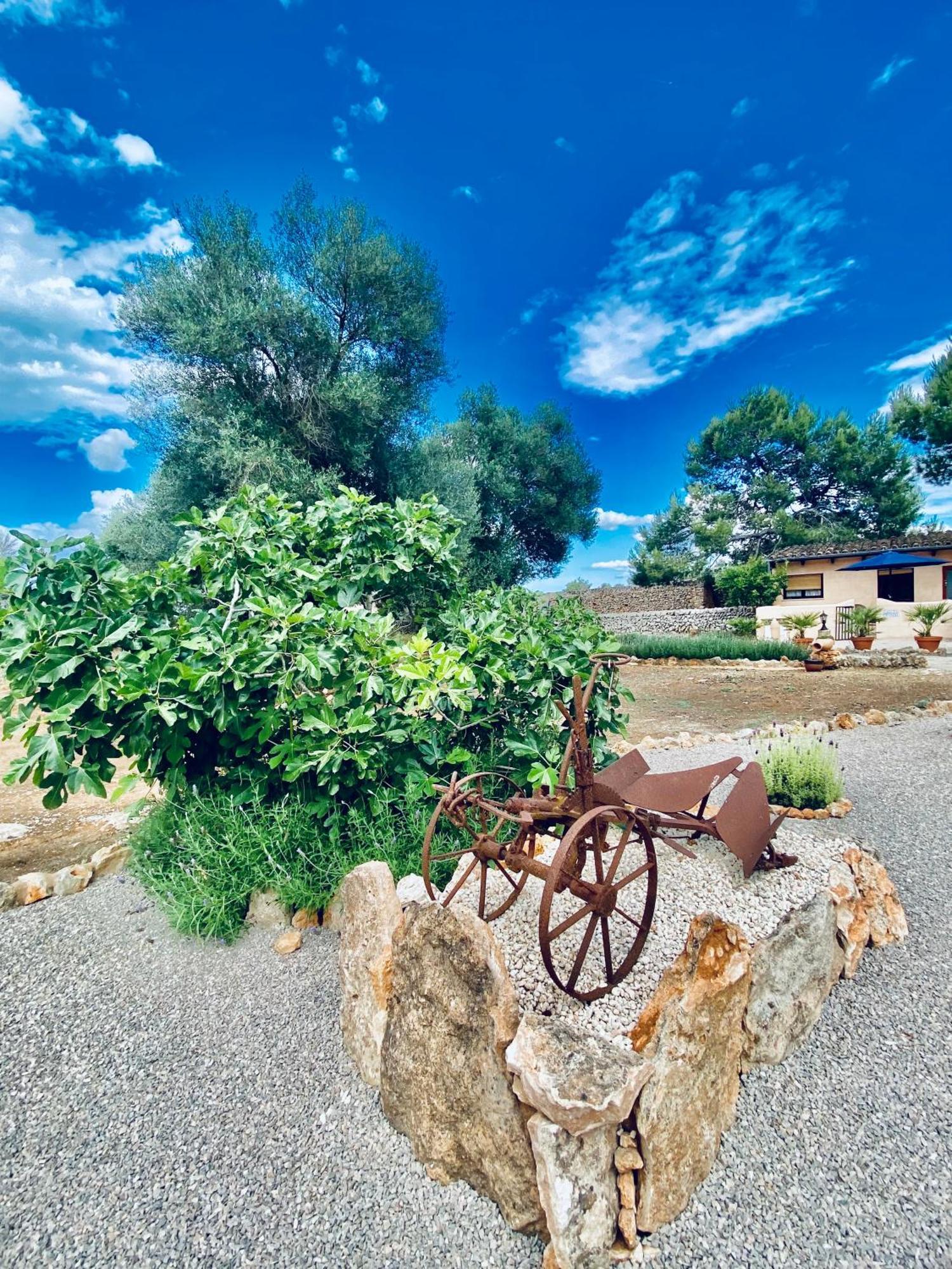 Finca Sa Canova Agroturismo Campos Kültér fotó