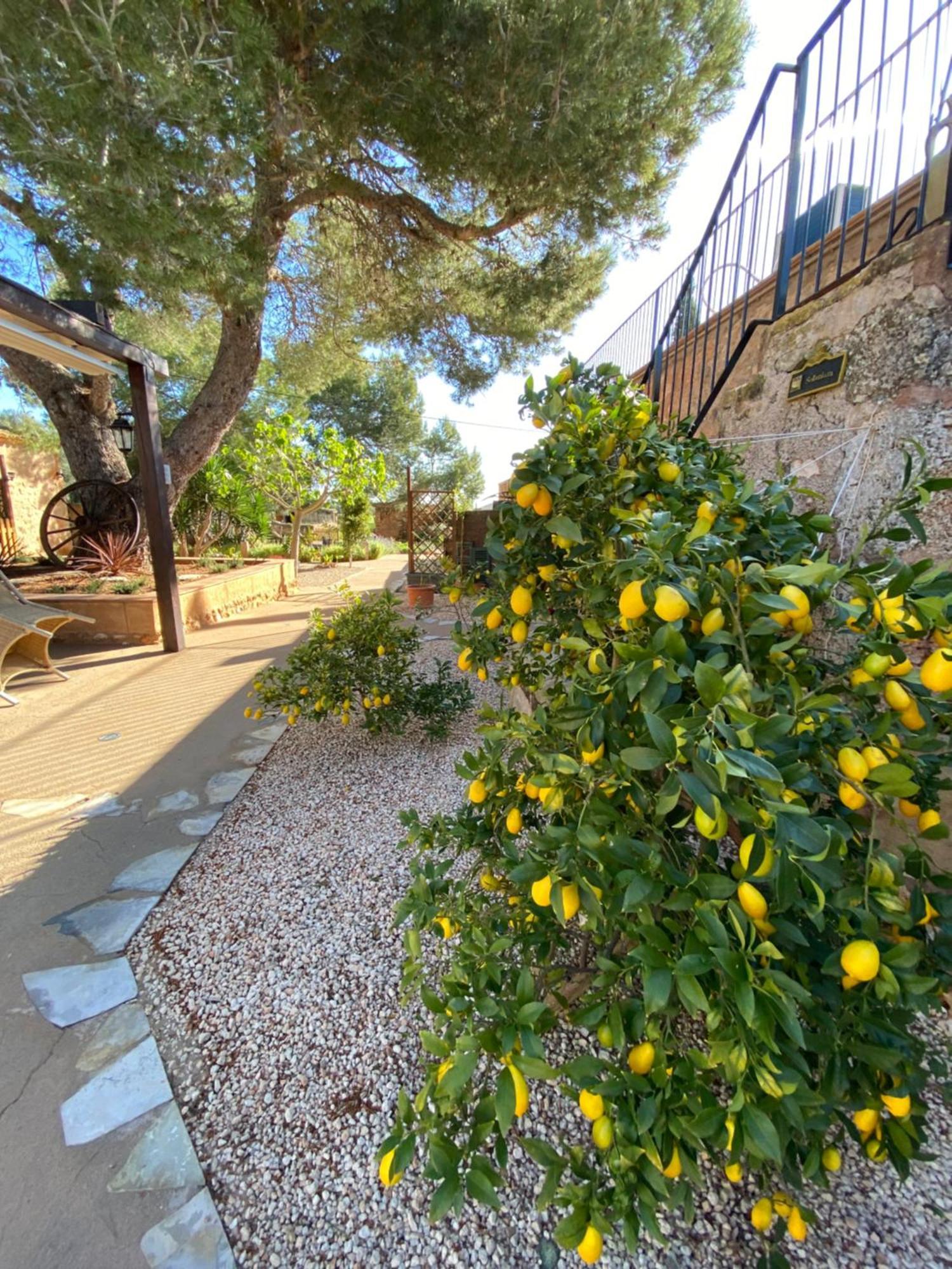 Finca Sa Canova Agroturismo Campos Kültér fotó